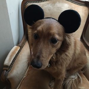 Meet your Posher, Andrew